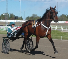 Quality Questioned 150523-4